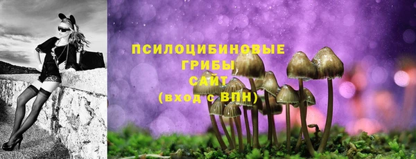 дмт Алексеевка