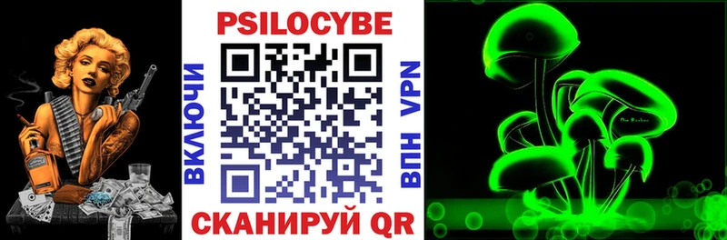 где продают   Цоци-Юрт  Галлюциногенные грибы прущие грибы 