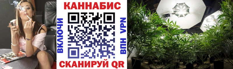 blacksprut ТОР  хочу наркоту  маркетплейс клад  Марихуана семена  Цоци-Юрт 